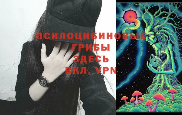 экстази Медвежьегорск