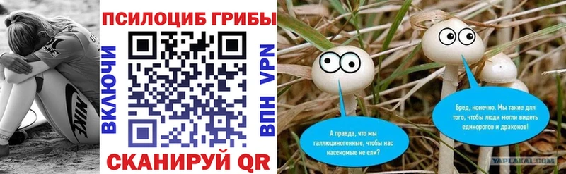 Псилоцибиновые грибы Psilocybe  что такое наркотик  Красногорск 