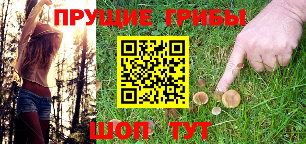 Галлюциногенные грибы Psilocybine cubensis  Псилоцибиновые грибы Psilocybine cubensis  Красногорск 