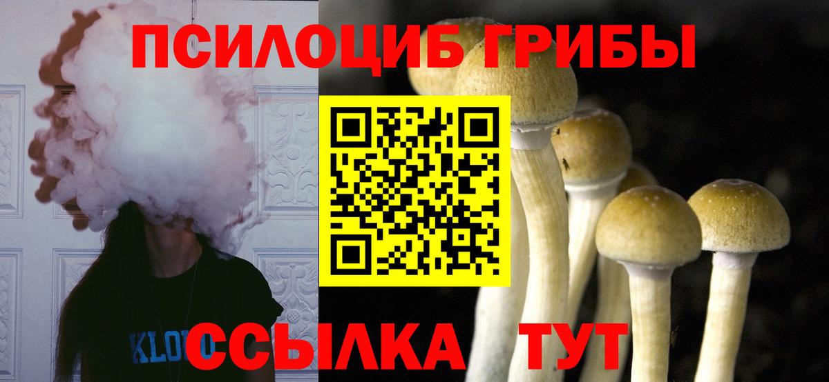 Псилоцибиновые грибы прущие грибы  Вход с VPN  Псилоцибиновые грибы Magic Shrooms  Красногорск 